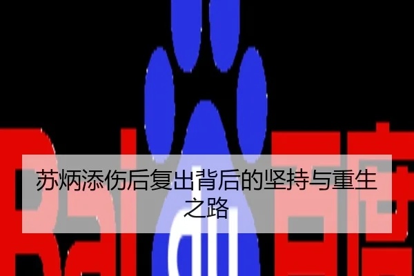 苏炳添伤后复出背后的坚持与重生之路